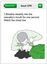 Pasted Graphic 2